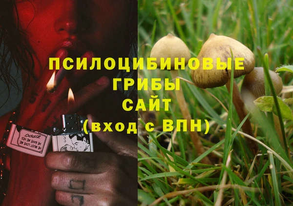 прущие крисы Абинск