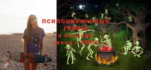 крисы Алексеевка