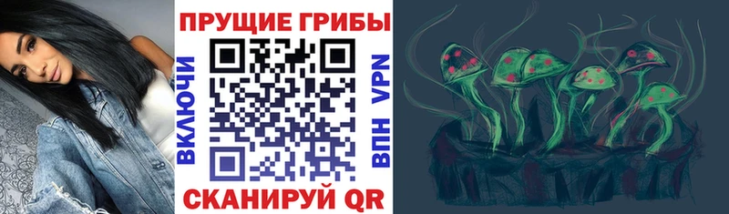 продажа наркотиков Котово Галлюциногенные грибы мицелий